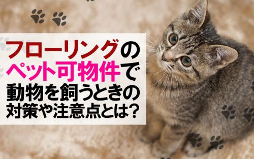 フローリングのペット可物件で動物を飼うときの対策や注意点とは？の画像