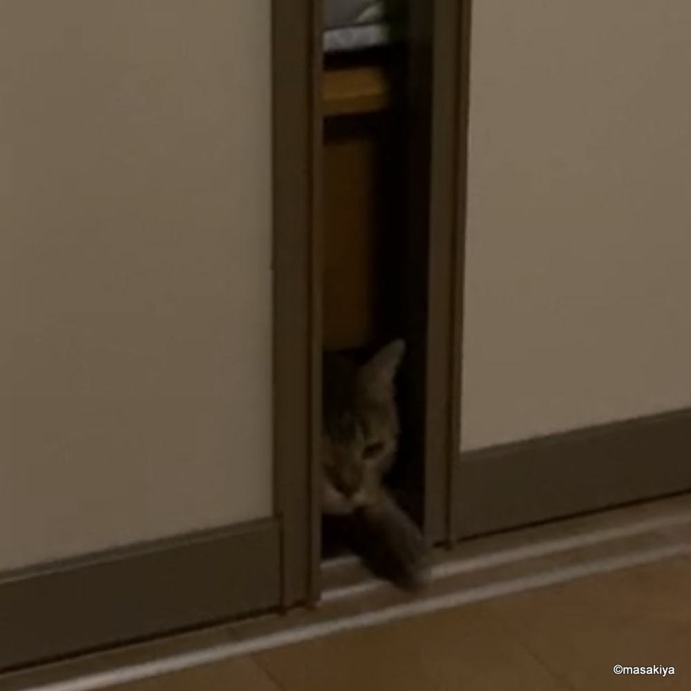 隙間の画像