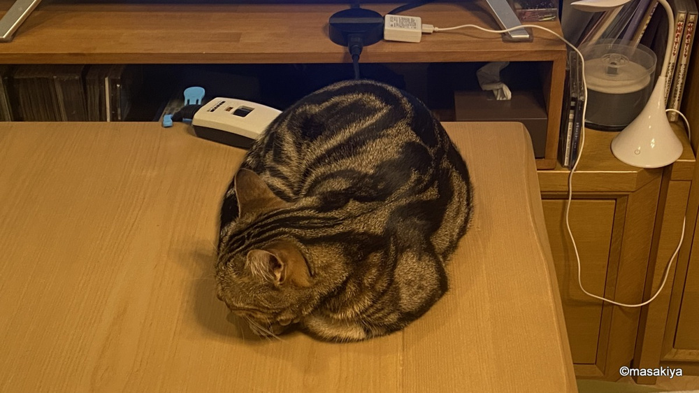 朝の様子の画像