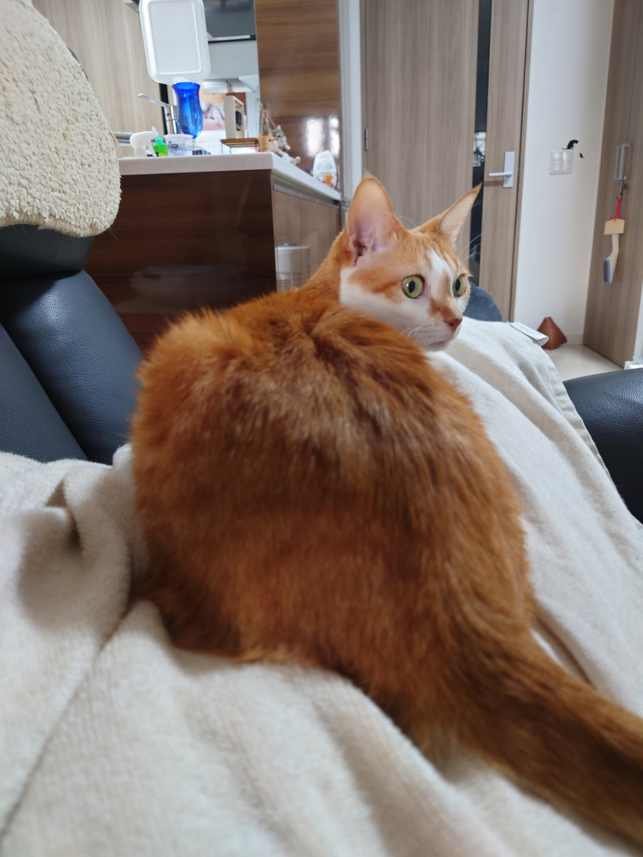 祝・10周年の画像