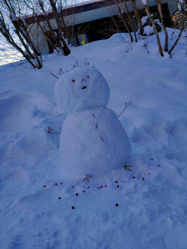 雪遊びの画像