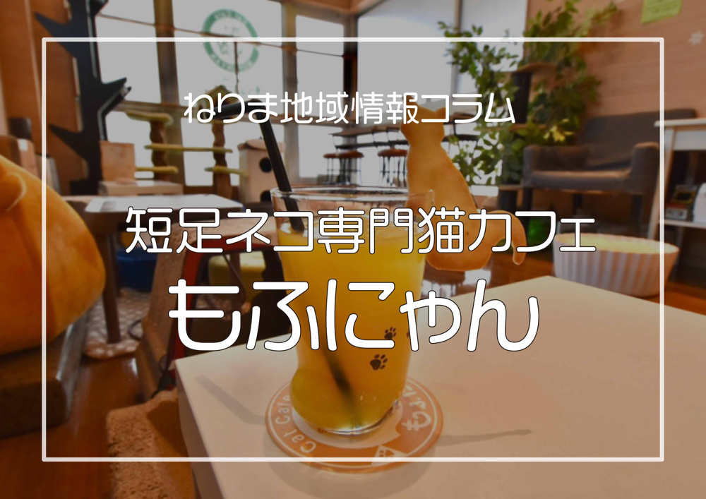 癒しの短足ネコカフェの画像