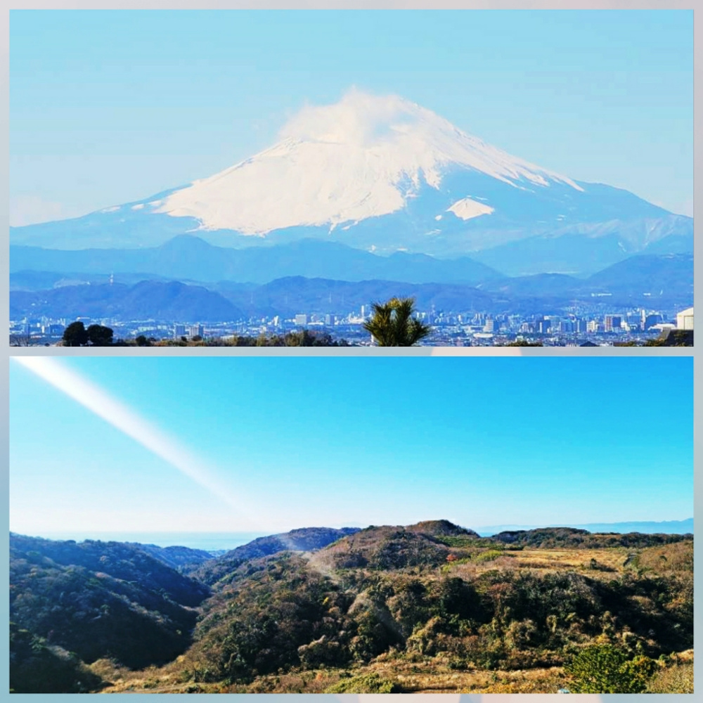 葉山国際カンツリー倶楽部の画像