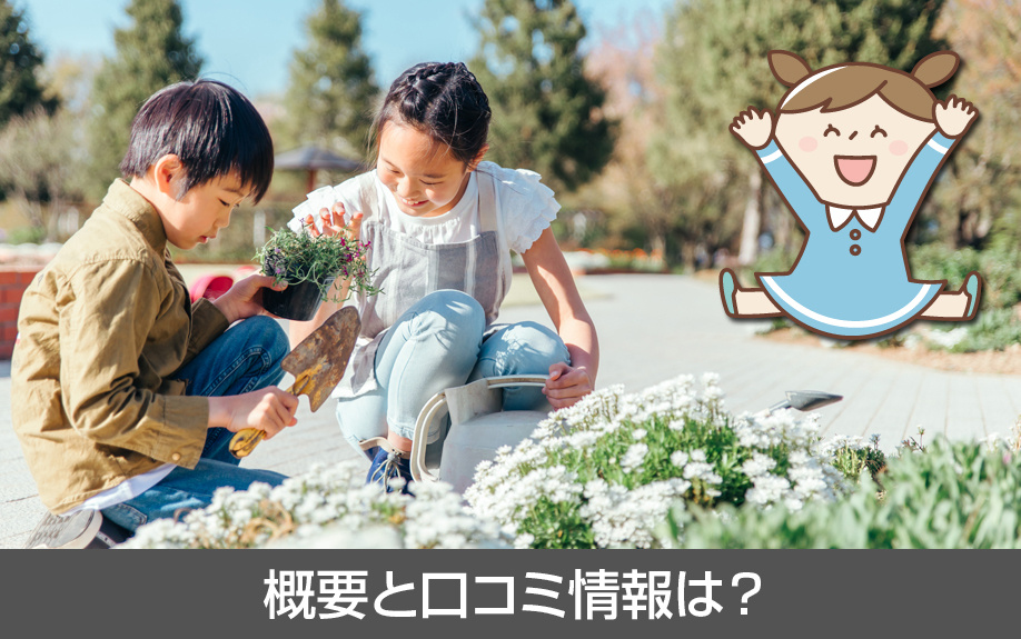 中川区にある野田小学校の概要と口コミ情報は？