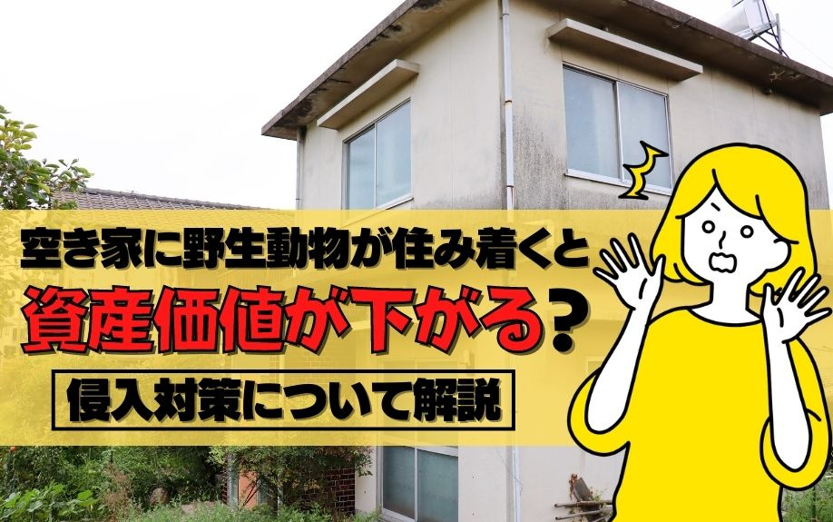 空き家に野生動物が住み着くと資産価値が下がる？侵入対策について解説