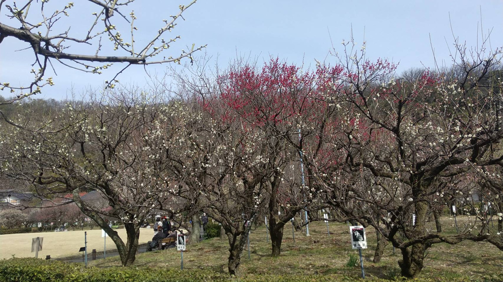 暖かくなってきました！の画像
