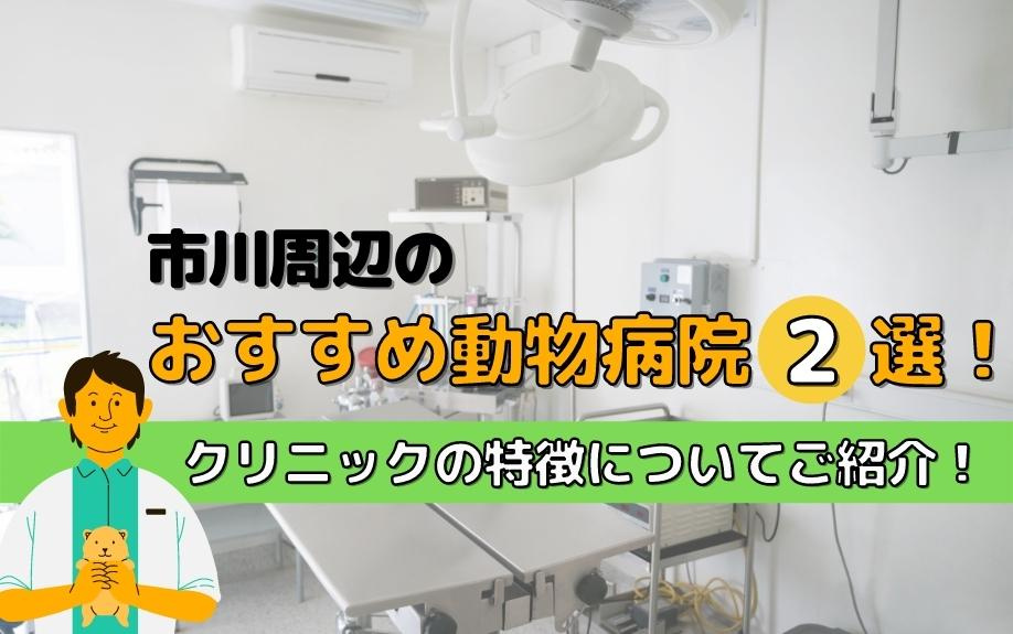 市川周辺のおすすめ動物病院2選！クリニックの特徴についてご紹介！の画像