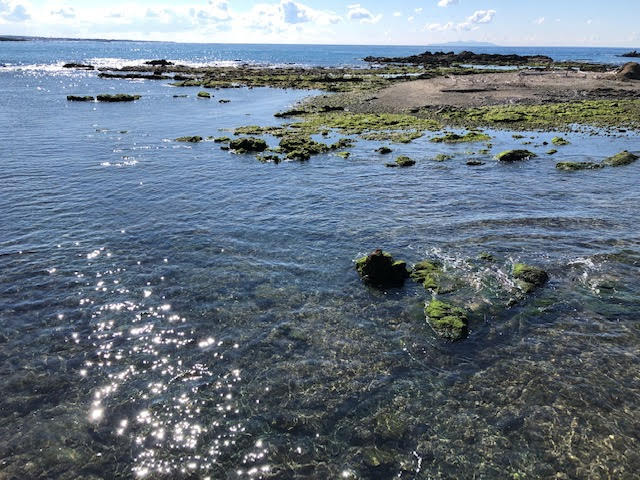 葉山での1コマの画像