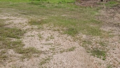 事業用の土地をお探しのお客様へ✨の画像