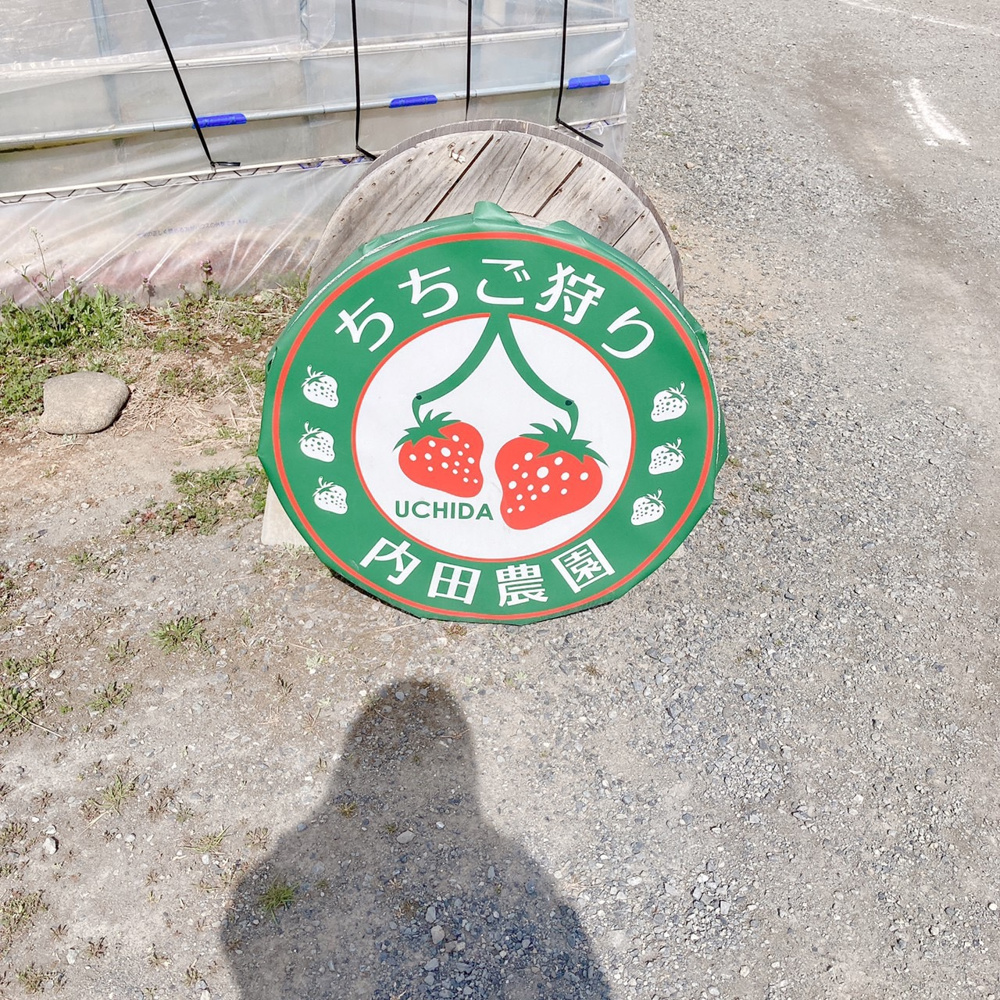 秩父へお出かけ　内田農園でいちご狩りの画像
