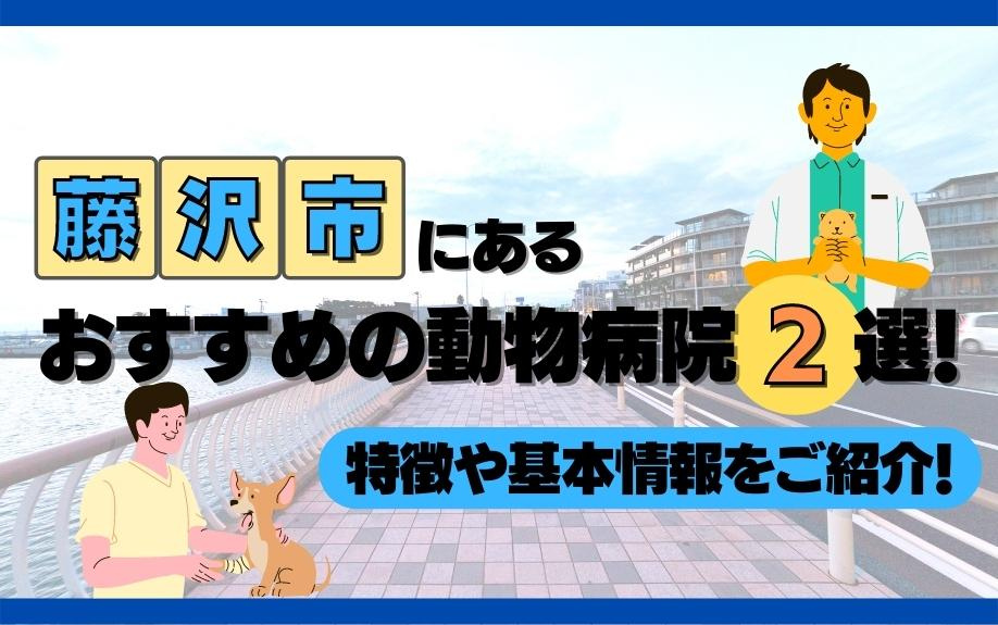 藤沢市にあるおすすめの動物病院2選！特徴や基本情報をご紹介！の画像