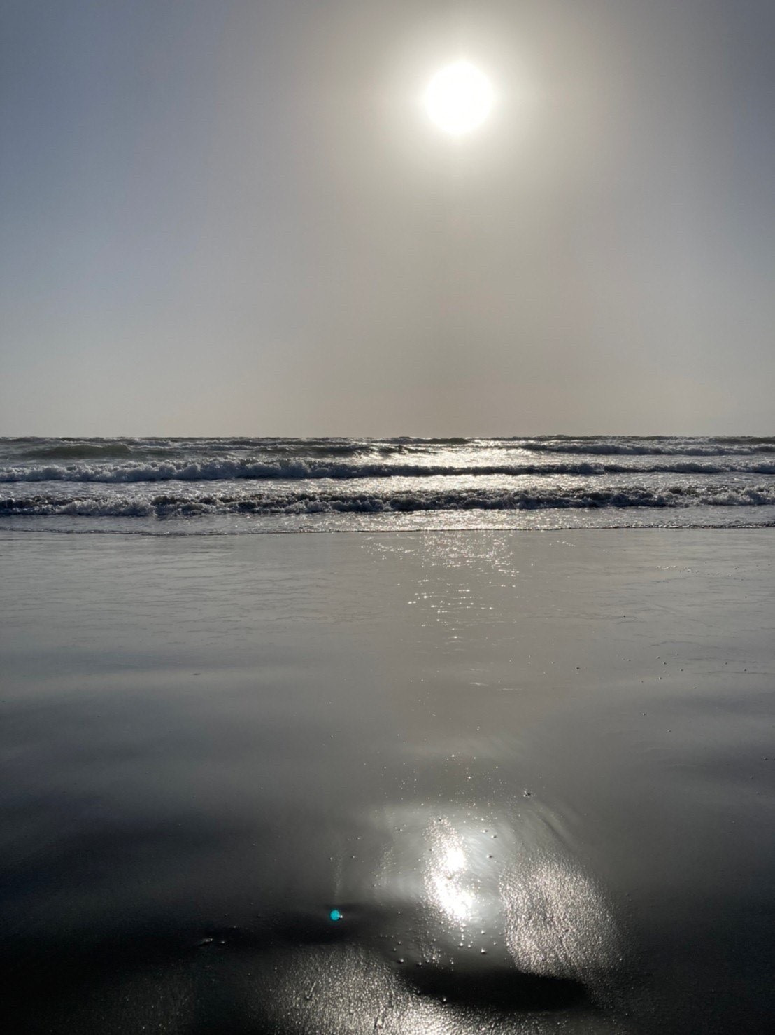海と砂浜と時々トンビの画像