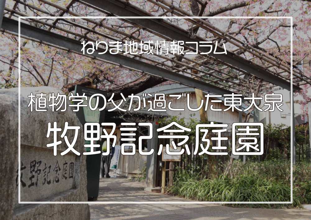 春らんまん牧野記念庭園の画像