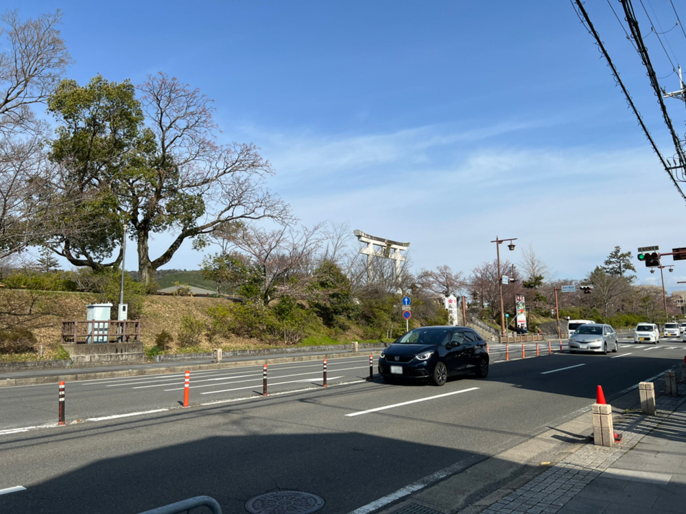 2022年 桜の見頃はの画像