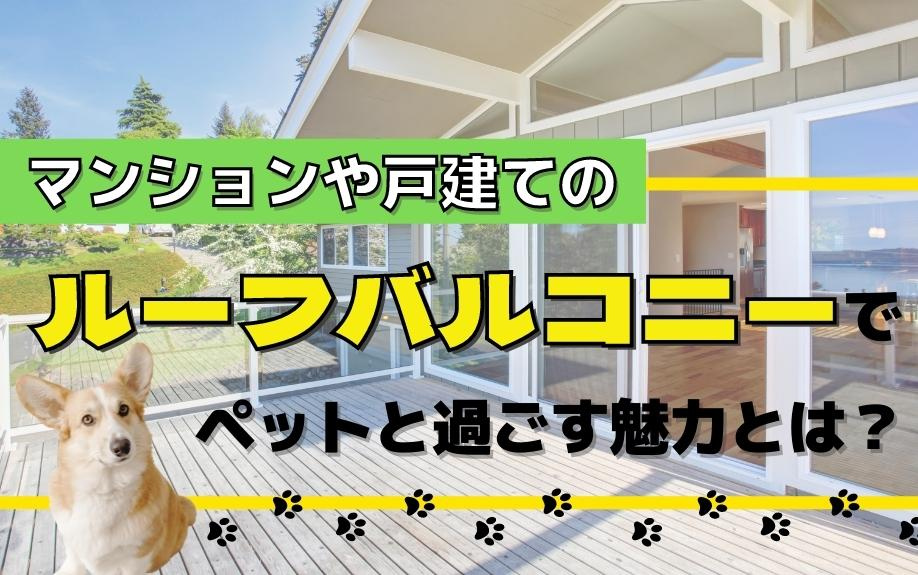 マンションや戸建てのルーフバルコニーでペットと過ごす魅力とは？の画像