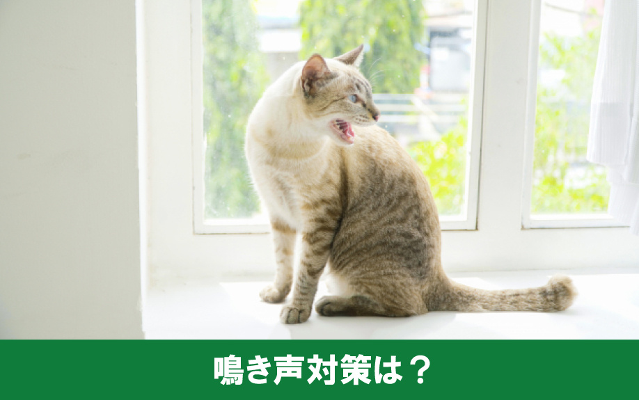 賃貸物件での猫の鳴き声対策について