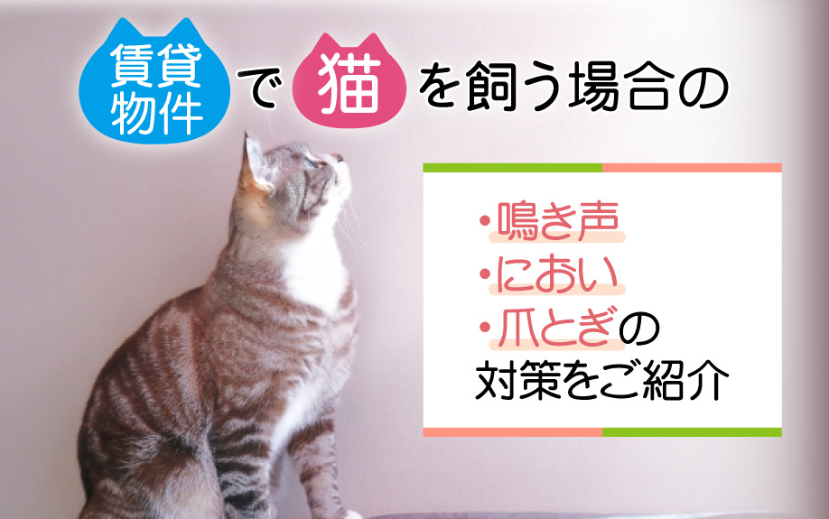 賃貸物件で猫を飼う場合の鳴き声・におい・爪とぎの対策をご紹介の画像