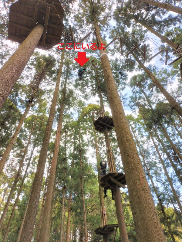 春恒例のアスレチック（2022.3.31）の画像
