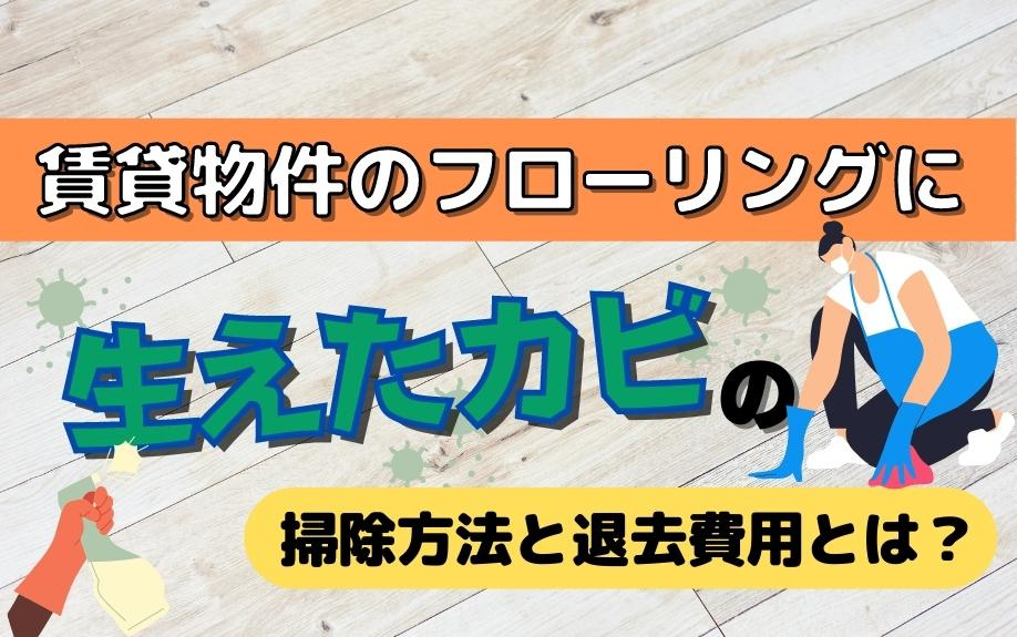 賃貸物件のフローリングに生えたカビの掃除方法と退去費用とは？