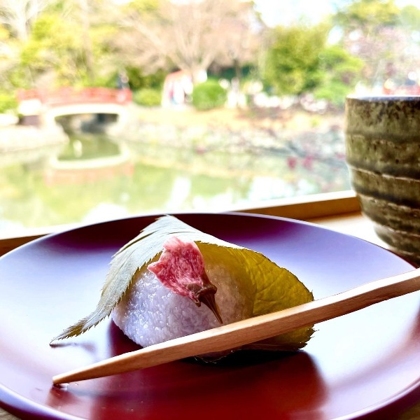 春の鎌倉~いとおかし~の画像