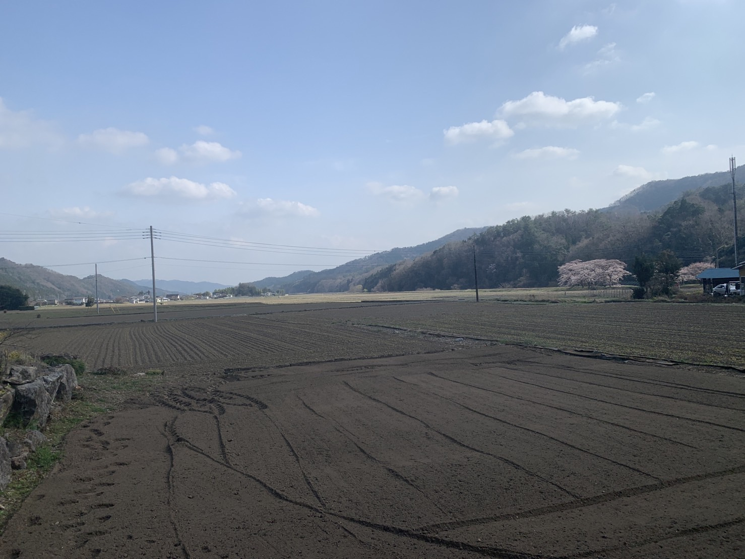 田舎ならでは・・・の画像