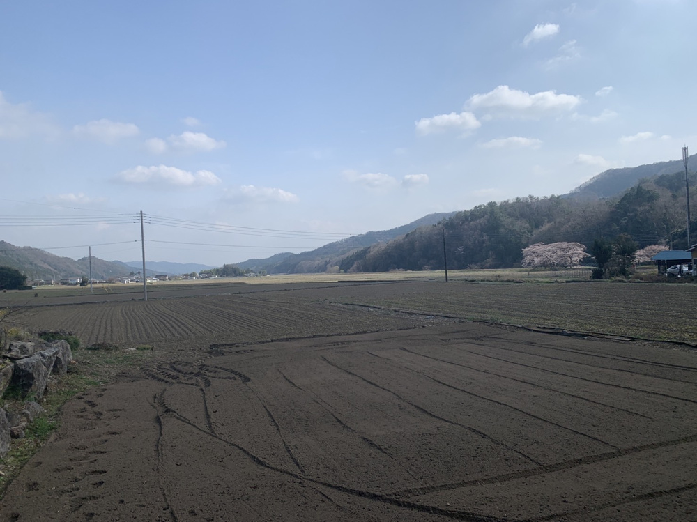 田舎ならでは・・・の画像
