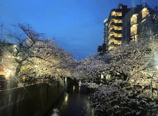 今週末も沢山のご来場ありがとうございました(^^)/の画像