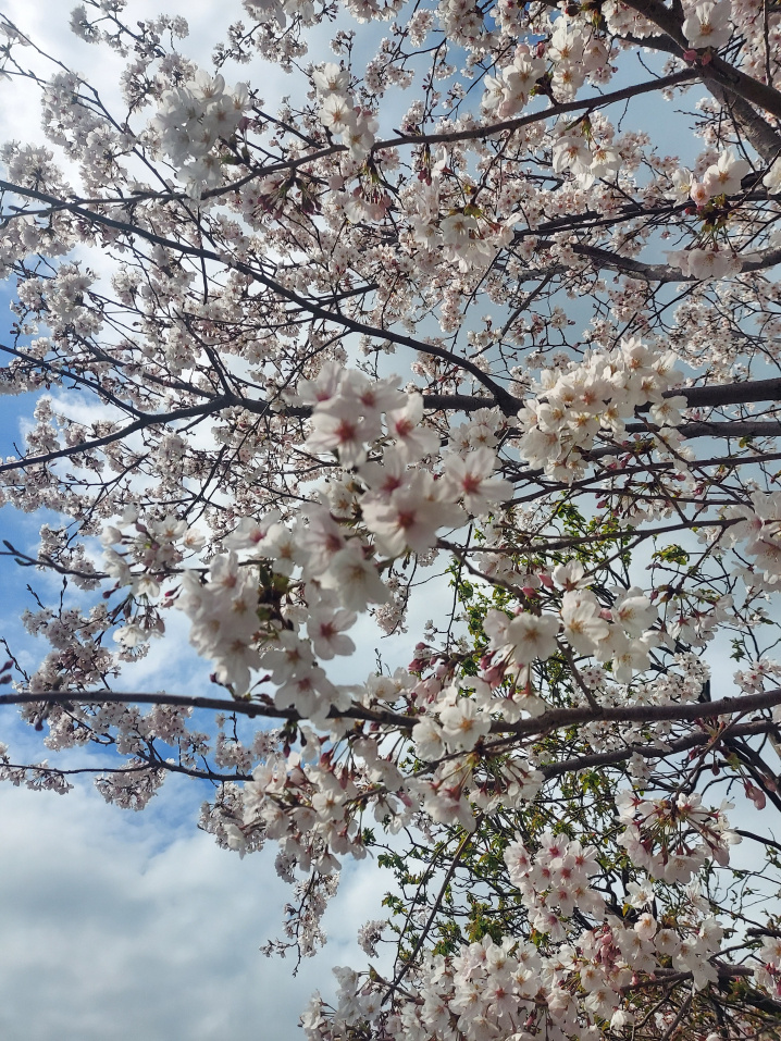 デザイナーズ物件のご紹介☆アースデザイン西明石店|神戸、明石、加古川、姫路のデザイナーズ賃貸はアースデザイン明石の画像