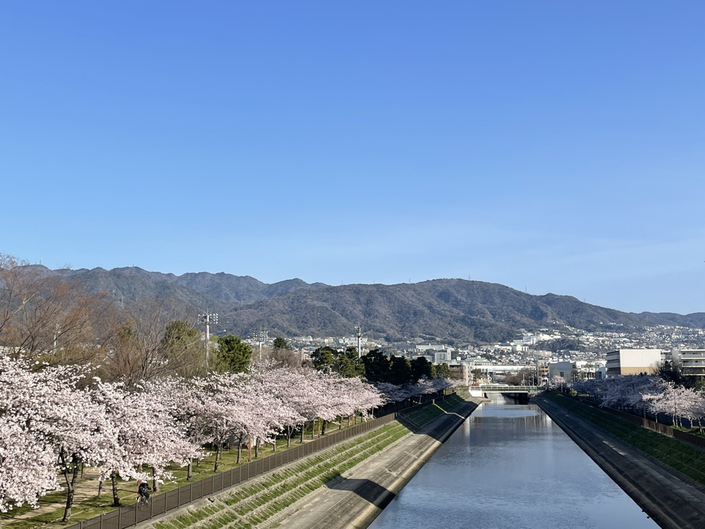 2022年　ゴールデンウイーク休暇のお知らせの画像