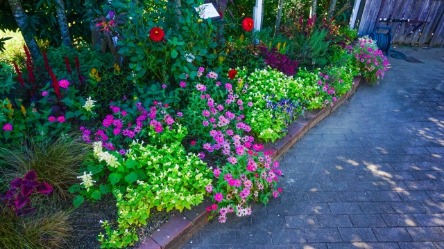 【新築の新築の庭づくりで知っておきたい！庭づくりの魅力やポイント】の画像