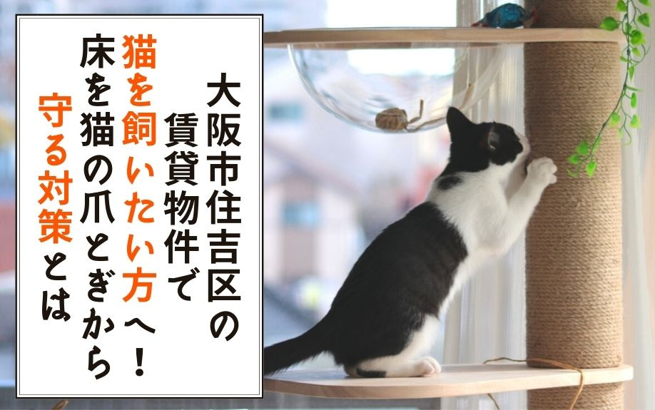 大阪市住吉区の賃貸物件で猫を飼いたい方へ！床を猫の爪とぎから守る対策とは