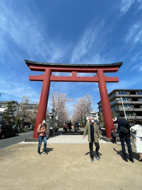 動機が無理でしたの画像