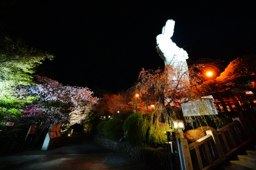 花粉の季節は花見の季節の画像