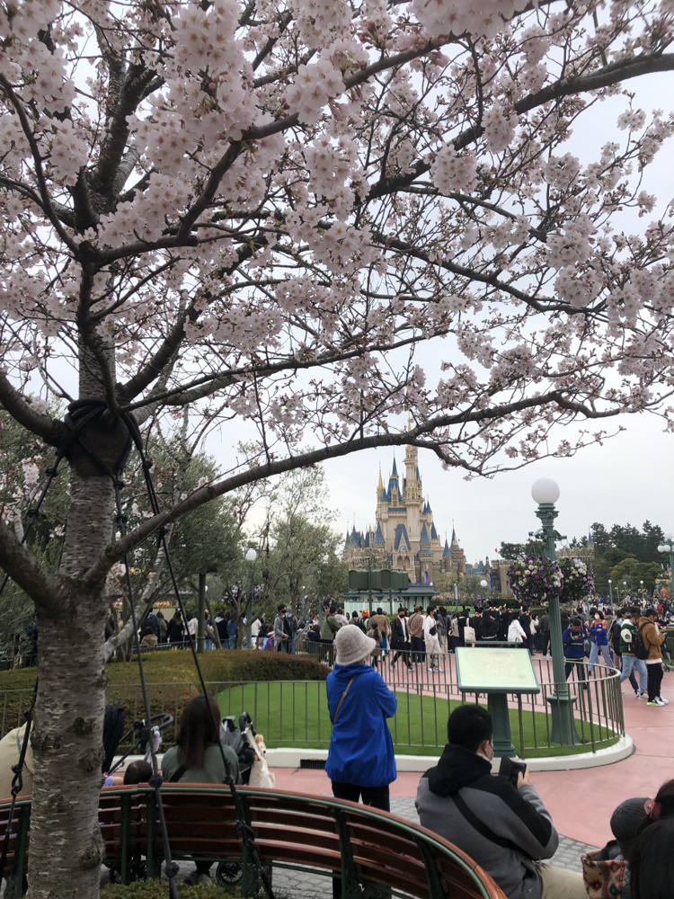 朝一で入って！の画像