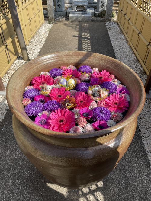 花手水フォトコンテスト♪の画像