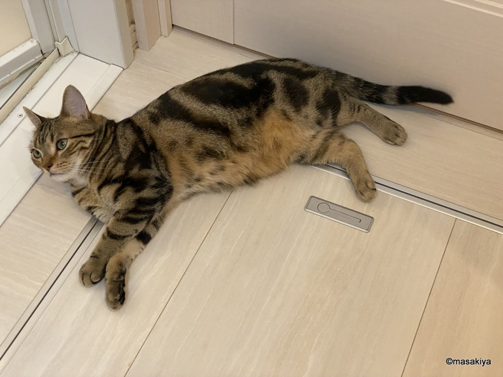 寒い日の画像