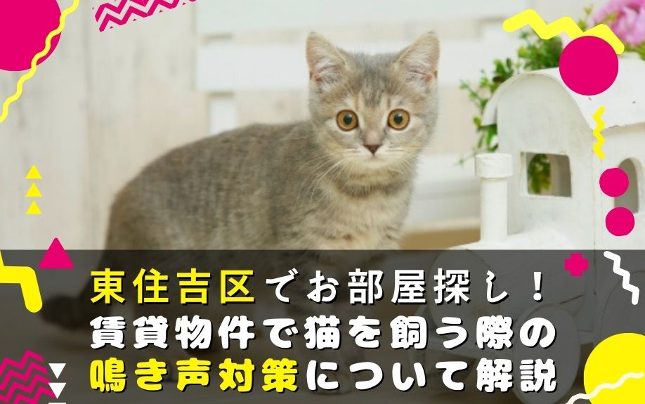 東住吉区でお部屋探し！賃貸物件で猫を飼う際の鳴き声対策について解説