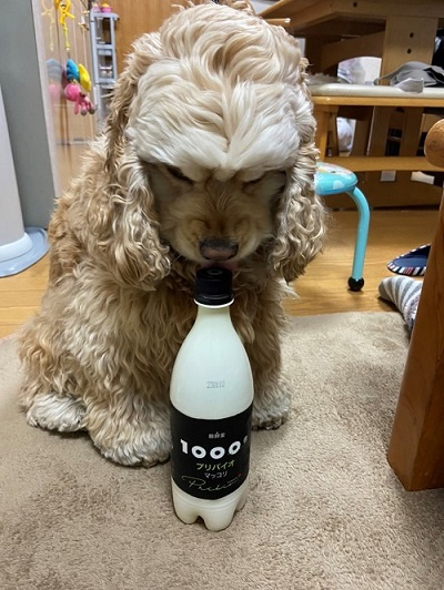 愛犬と晩酌?の画像