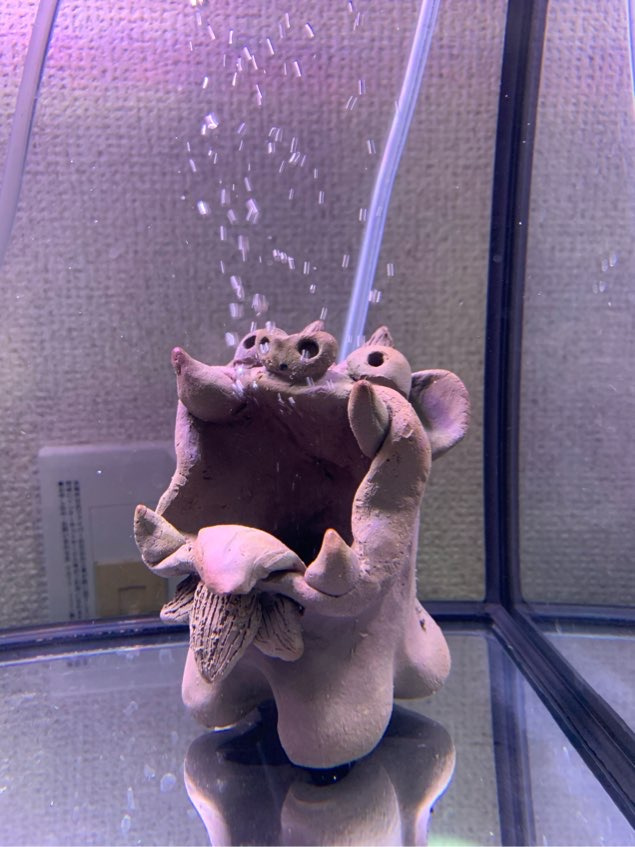シーサーの画像