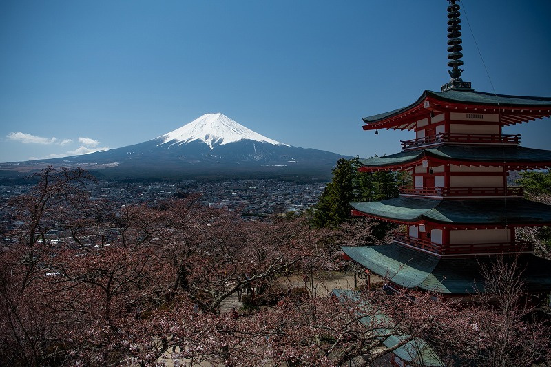 河口湖・草津のドライブの旅　900kmの画像