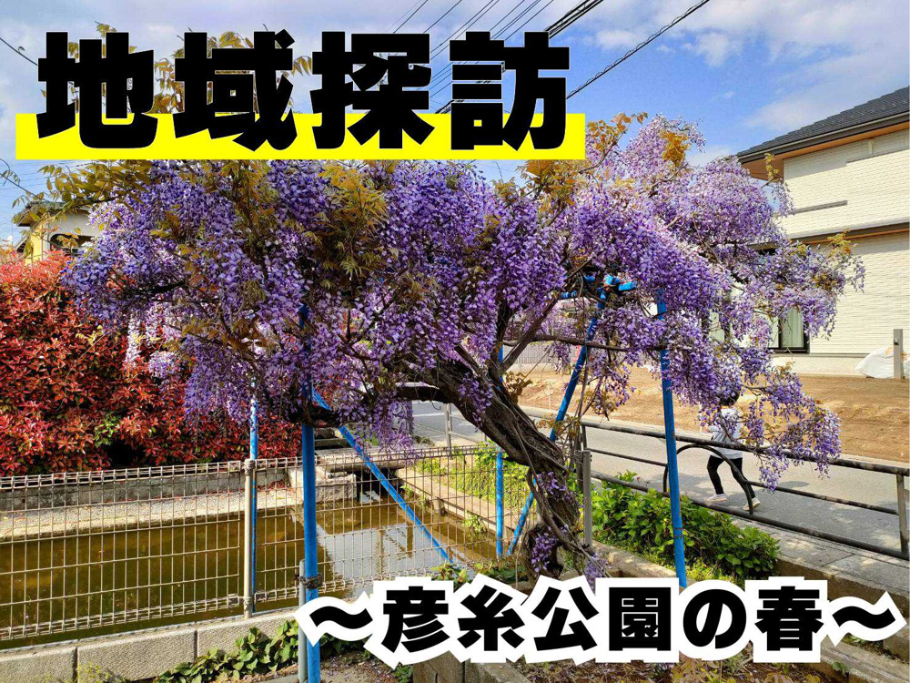 ４月２１日：彦糸公園の春の画像