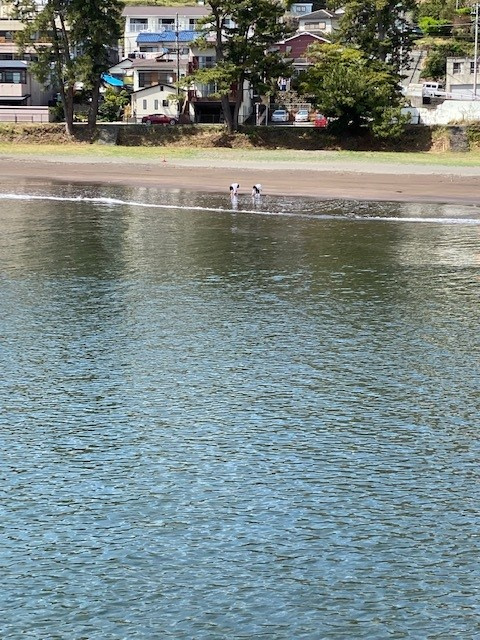 熱海へ。の画像