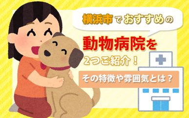 横浜市でおすすめの動物病院を2つご紹介!その特徴や雰囲気とは?の画像