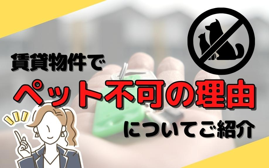 賃貸物件でペット不可の理由についてご紹介の画像