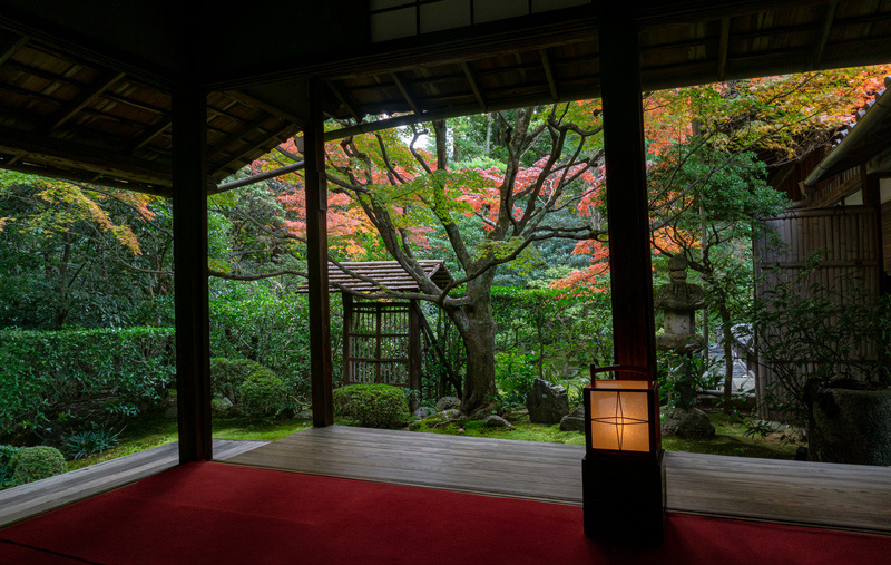 4月28日【庭の日】の画像
