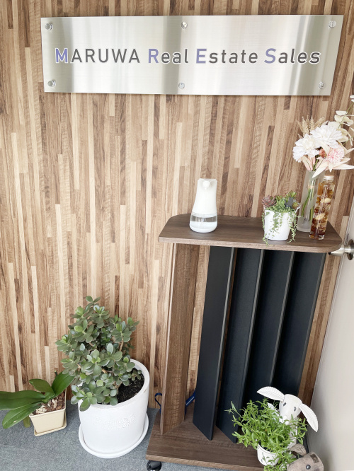 社内緑化計画の画像