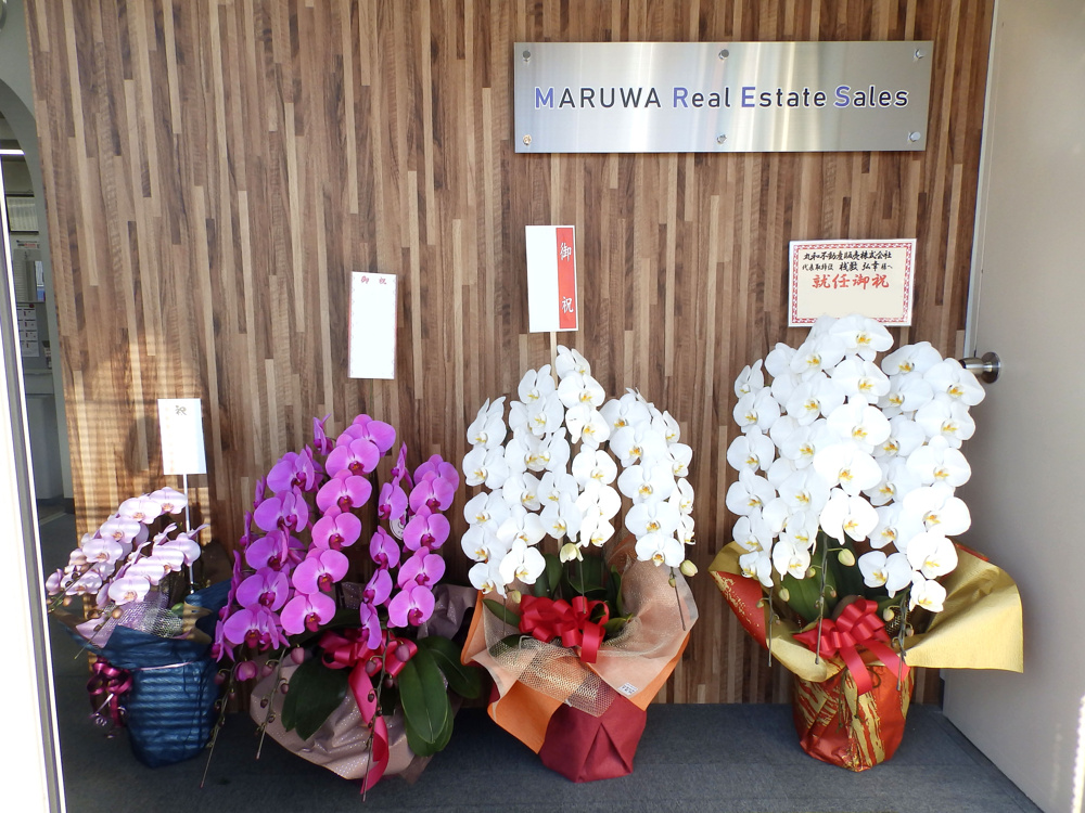 胡蝶蘭植替え日記（2022年4月27日）の画像