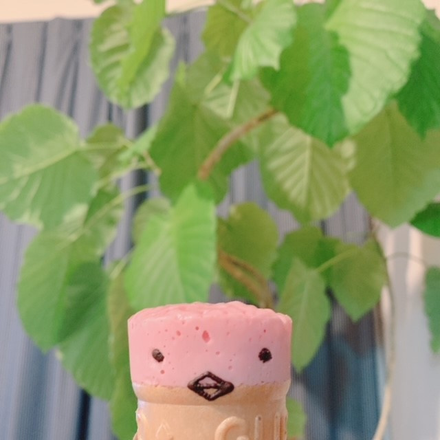 カプリコの画像