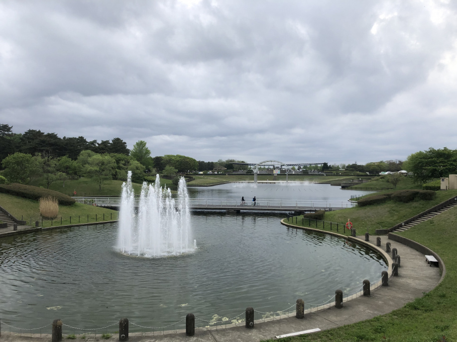 国営という広さの画像