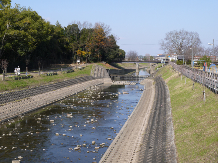 薬師寺・唐招提寺を望む